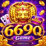 669Q Game