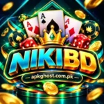 NikiBD Game