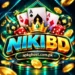 NikiBD Game