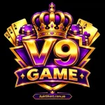 V9 Game