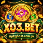 X03 game