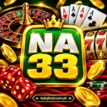 NA33 APP
